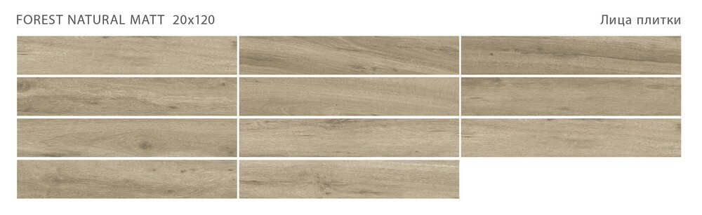 Плитка FOREST NATURAL 20x120 MATT серия Forest