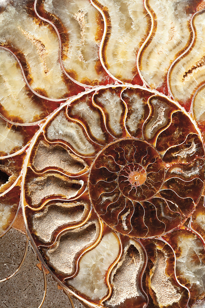 Панно 33288 серия Панно Fa Ro