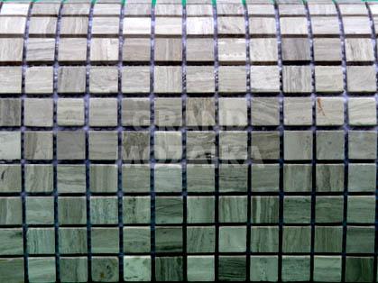 Мозаика ASS13 серия TonoStone